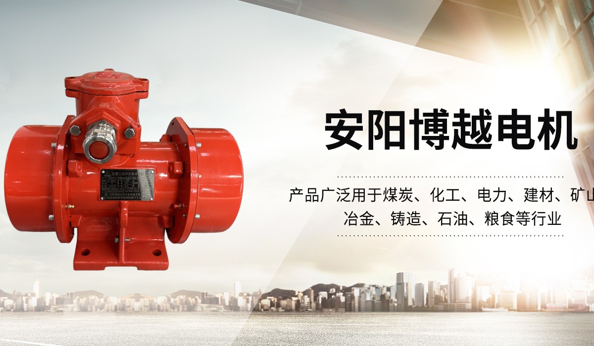 防爆振动电机,矿用振动电机,立式防爆振动电机